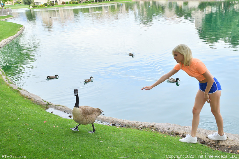 Daring The Goose 19