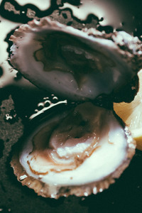 My First Time Eating Oysters... And Pussy 12