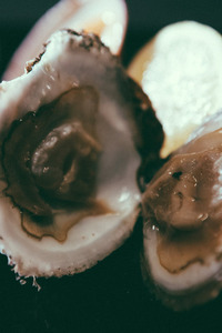 My First Time Eating Oysters... And Pussy 13