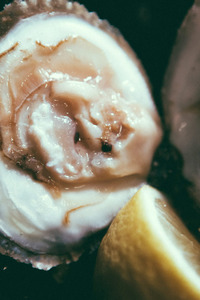 My First Time Eating Oysters... And Pussy 14